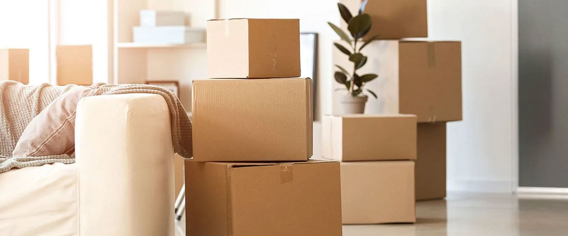 Domestic Relocation Services